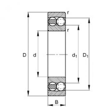 Self-Aligning Ball Bearings 1219-M FAG