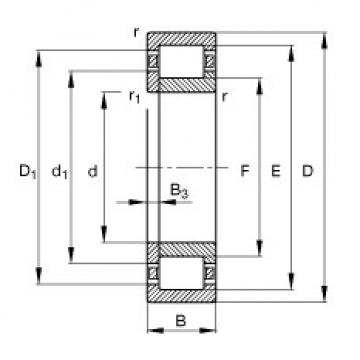 cylindrical bearing nomenclature NUP305-E-TVP2 FAG