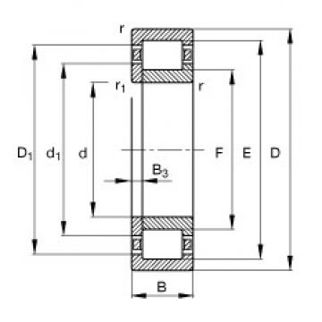 Cylindrical Roller Bearings Distributior NUP2234-E-M1 FAG