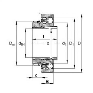 Self-Aligning Ball Bearings 1217-K-TVH-C3 + H217 FAG