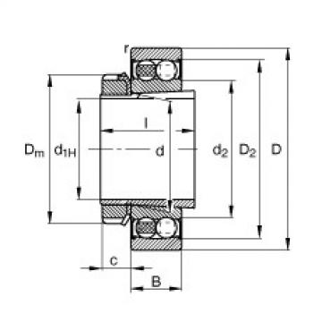 Self-Aligning Ball Bearings 2206-K-2RS-TVH-C3 + H306 FAG