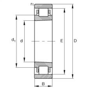 Cylindrical Roller Bearings N1019-K-M1-SP FAG