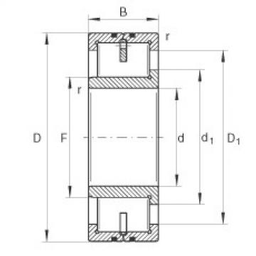 Cylindrical Roller Bearings LSL192320-TB INA