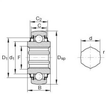 Bearing Original Brand SK102-207-KRR-B-AH10  INA   