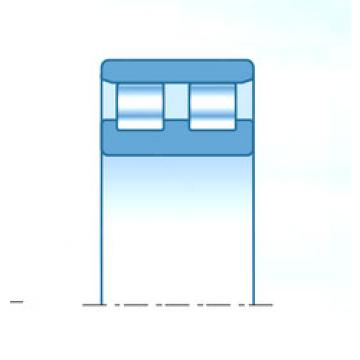 cylindrical bearing nomenclature RNN4207K NTN