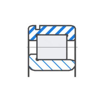 Cylindrical Roller Bearings 30RJ58S2C3 NACHI