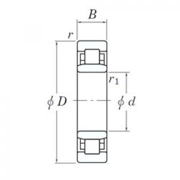 Cylindrical Roller Bearings 3NC NU1010 FY KOYO