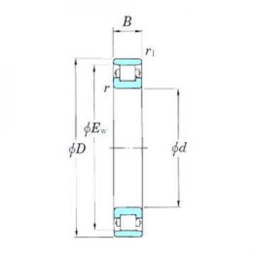 Cylindrical Roller Bearings 3NCN1008 KOYO