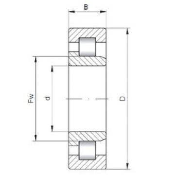 Cylindrical Bearing NJ118X240X80 ISO