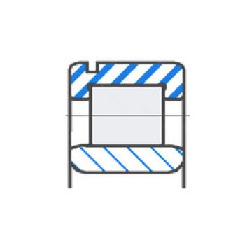 Cylindrical Roller Bearings F-232349 FAG