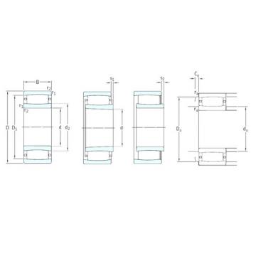 Cylindrical Roller Bearings BSC-2034V SKF