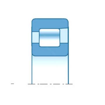 cylindrical bearing nomenclature RNF2804 NTN