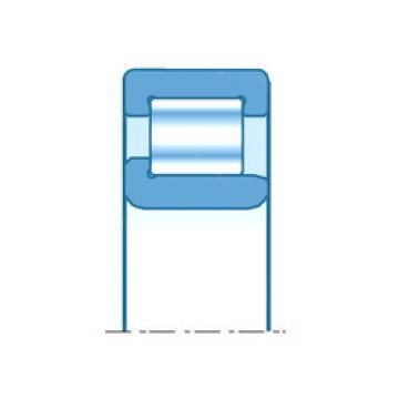 cylindrical bearing nomenclature RNUJ1215 NTN