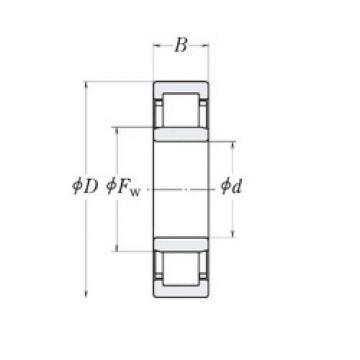 Cylindrical Roller Bearings LLRJ1.1/8 RHP