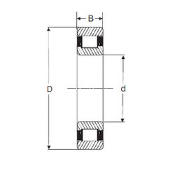 cylindrical bearing nomenclature RXLS 1.5/8 SIGMA