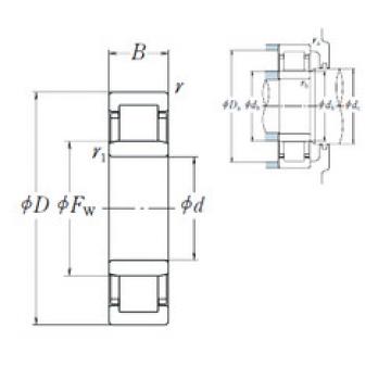 Cylindrical Roller Bearings Distributior NU 305 EW NSK