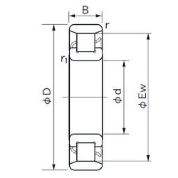 Cylindrical Roller Bearings N 1006 NACHI