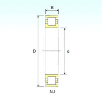 Cylindrical Roller Bearings N 210 ISB