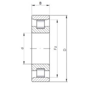 Cylindrical Roller Bearings N10/500 CX