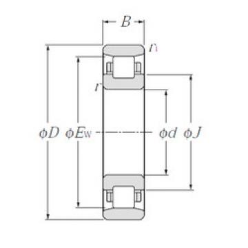 Cylindrical Roller Bearings N1006 NTN