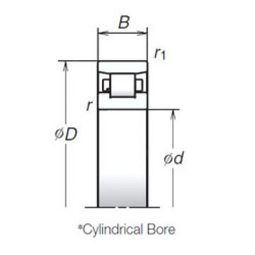 Cylindrical Roller Bearings N1011BMR1 NSK