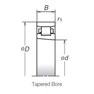 Cylindrical Roller Bearings N1006MR1KR NSK