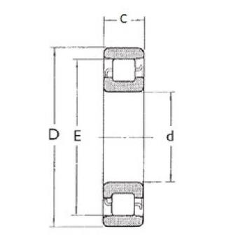 Cylindrical Roller Bearings N1006 FBJ