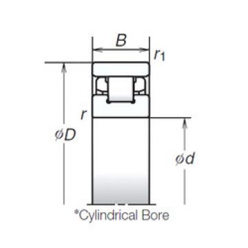 Cylindrical Roller Bearings N1009RSTP NSK