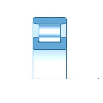 Cylindrical Roller Bearings N1044K NTN