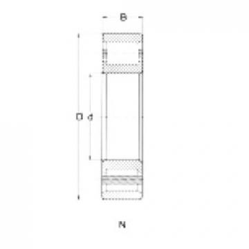 Cylindrical Roller Bearings N209 CRAFT