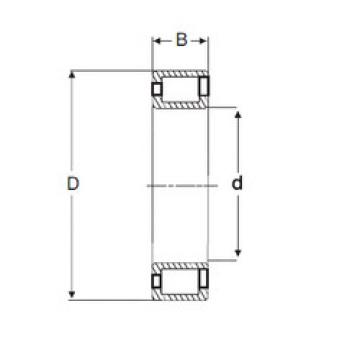 Cylindrical Roller Bearings NCF 2920 V SIGMA