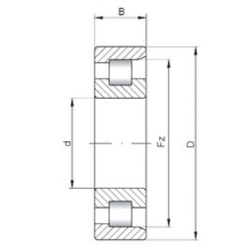 Cylindrical Bearing NF3048 ISO