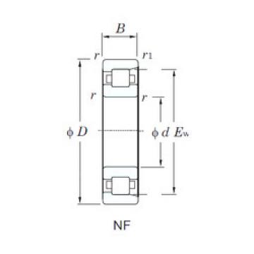Cylindrical Bearing NF212 KOYO