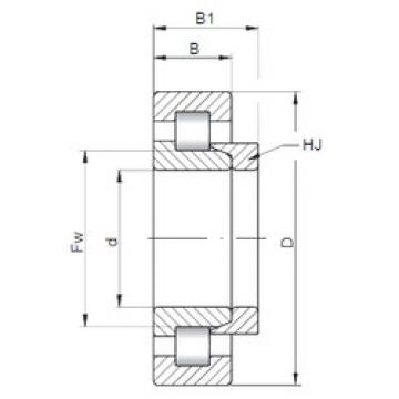 Cylindrical Bearing NH205 ISO