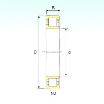 Cylindrical Bearing NJ 219 ISB