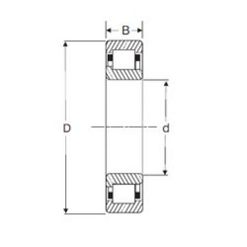 Cylindrical Bearing NJ 2211 SIGMA