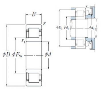 Cylindrical Bearing NJ2213 ET NSK