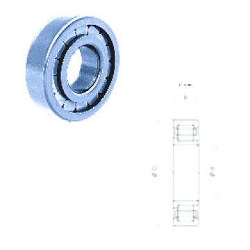 Cylindrical Bearing NJ215F/C3 Fersa