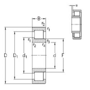 Cylindrical Bearing NJ219-E-M6 NKE