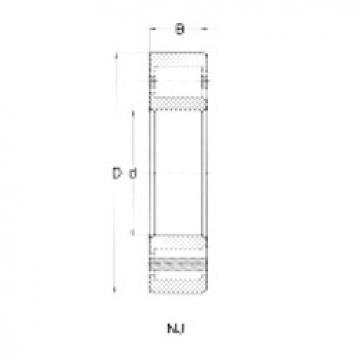 Cylindrical Bearing NJ213 CRAFT