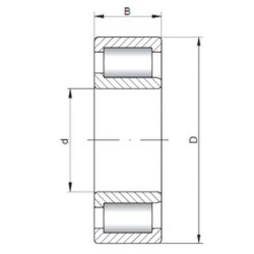 Cylindrical Bearing NJF2306 V CX