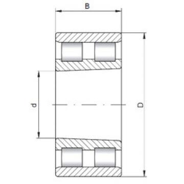 Cylindrical Bearing NN4924 K CX