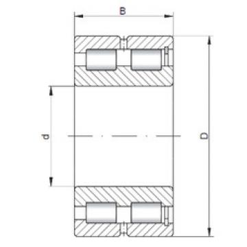 cylindrical bearing nomenclature SL185007 ISO