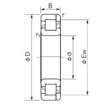 Cylindrical Roller Bearings Distributior NP 209 NACHI