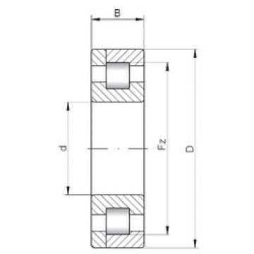 Cylindrical Roller Bearings Distributior NP1926 CX