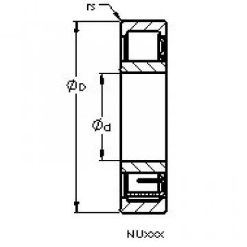 Cylindrical Roller Bearings Distributior NU1980 EM AST