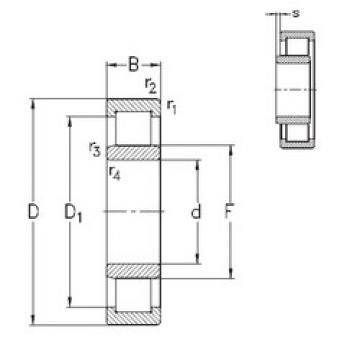 Cylindrical Roller Bearings Distributior NU1010-E-MPA NKE