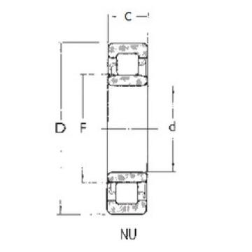 Cylindrical Roller Bearings Distributior NU2212 FBJ