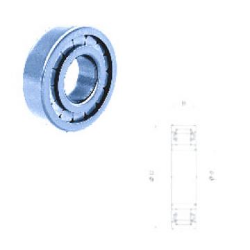 Cylindrical Roller Bearings Distributior NU2307F/C3 Fersa