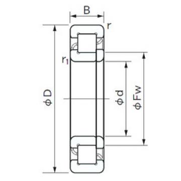 Cylindrical Roller Bearings Distributior NUP 1028 NACHI